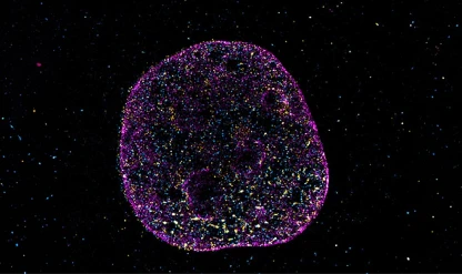 Bilim DNA’da ikinci bir dil buldu: Hücreler şekille hesap yapıyor