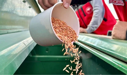 Bozkırda kuraklığa karşı yerli çözüm