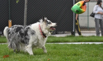 Can Dostlar Parkı açıldı!