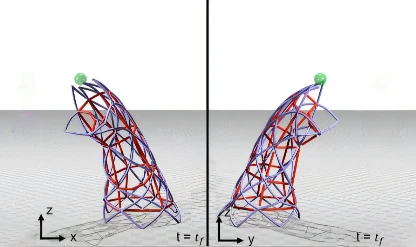 Canlı kaslarla çalışan ‘Biyohibrit robotlar’ egzersizle daha da güçlenecek