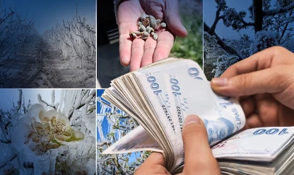Çiftçilere zirai don desteği: Şartlar Resmi Gazete’de yayımlandı