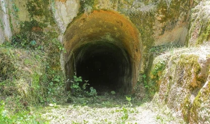 Haber 1