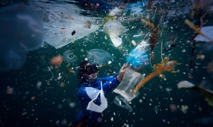 Deniz kirliliği raporu: 28 ilde 325 bin ton atık toplandı