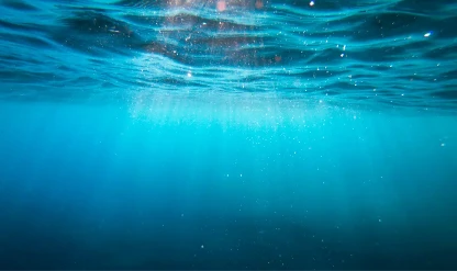 Deniz suyundan biyoplastik üretildi