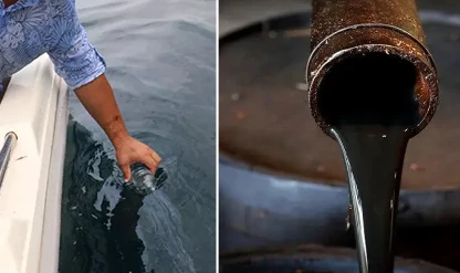 Doğu Karadeniz'de petrol heyecanı: Olumlu sonuçlar çıktı