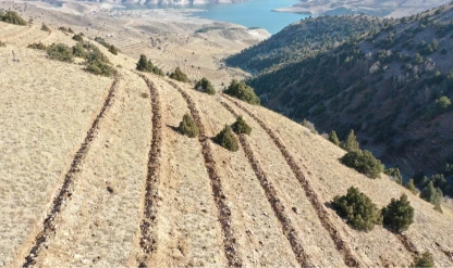 Doğu'da 9 milyon tohum ve fidan toprakla buluşturuldu