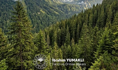 Dünya Ormancılık Günü’nde çağrı: Yeşil vatan korunacak