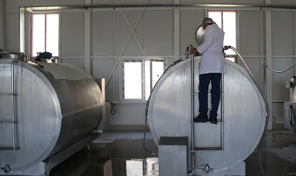 Ekimde 895 bin ton inek sütü toplandı