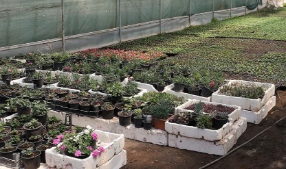 Fide sektöründe rekabet soruşturması: 18 teşebbüs ve birlik mercek altında