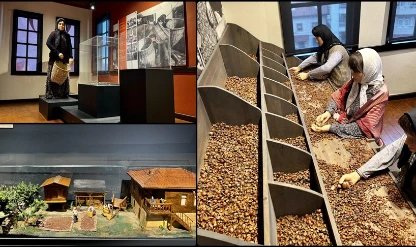 Fındığın bahçeden sofraya yolculuğu müzeye konu edildi