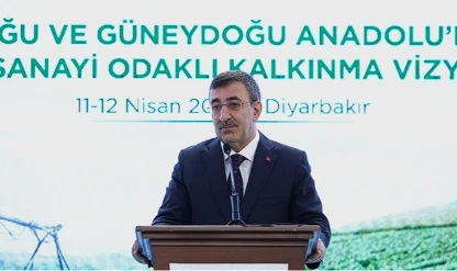 GAP’ta dönüşüm: Çok sektörlü kalkınma modeli