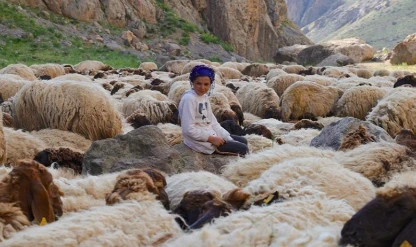 Göçer ailelerin yaylalardaki yükünü çocuklar da omuzluyor