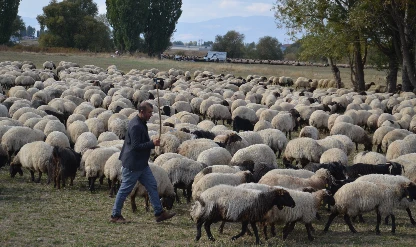 Göçerlerin yaylalardan dönüş yolculuğu başladı