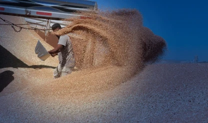 Hububat üretiminde yüksek verim beklentisi