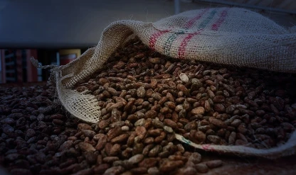 Türkiye kakaodan 1,7 milyar dolar kazandı