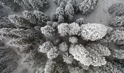 Ilgaz Dağı'nda kar ve sis etkili oldu: Kartpostallık görüntüler!