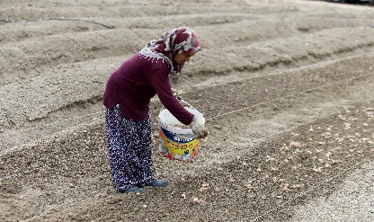 Kadınların ihracattaki payında Giresun ilk sıraya yerleşti