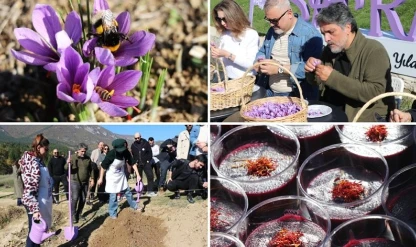 Karabük'te 'Safran İmecesi' etkinliği düzenlendi