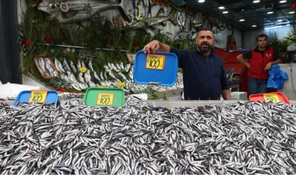 Karadeniz'de hamsi bolluğu tezgahlara yansıdı