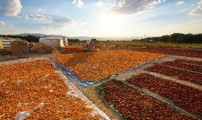 Katma değerli üretimle tarımda ihracat katlanacak