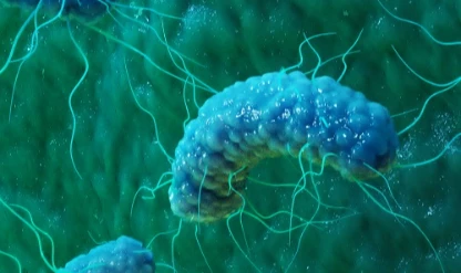 Kumaş boyamaya çevre dostu alternatif