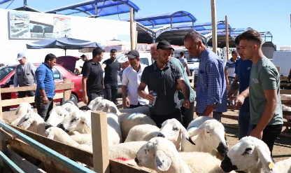 Kurban için tedbirler erkenden alındı: Kurbanlıklar 11 Mayıs'ta geliyor