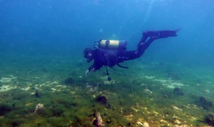 Marmara'daki müsilajla mücadeleye pina ve deniz çayırları desteği
