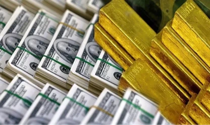 Merkez Bankası rezervlerinde yükseliş: 183,2 milyar dolar oldu