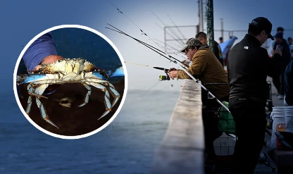 Oltasını alan sahile gitti! Kovalardakiler görenleri şaşırttı