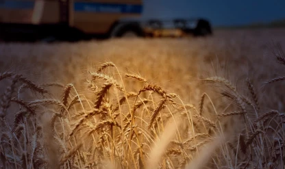 Ortadoğu'dan savaşın uzayacağı endişesi tarımsal emtiayı vurdu