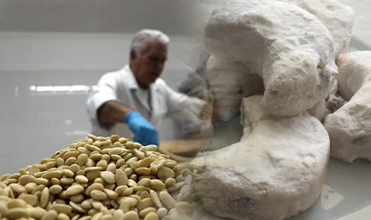 Osmanlı tatları bayram için hazırlanıyor! 24 saat üretim sürüyor