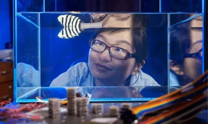 Robotikte 'lego' devrimi: Sertliği programlanabilen akıllı bloklar