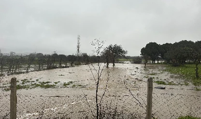 Sağanak yağış nedeniyle köy yollarında çökme meydana geldi