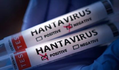 Sağlık Bakanlığından 'hantavirüs' açıklaması