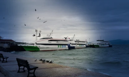 SON DAKİKA | Bursa'ya gidecekler dikkat! BUDO bazı seferlerini iptal etti