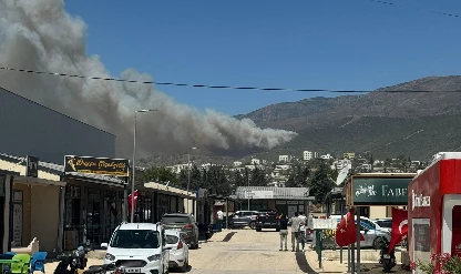 Son dakika: Hatay'da ormanlık alanda yangın çıktı