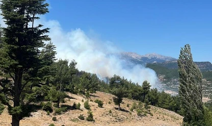 SON DAKİKA: Isparta'da da yangın çıktı!