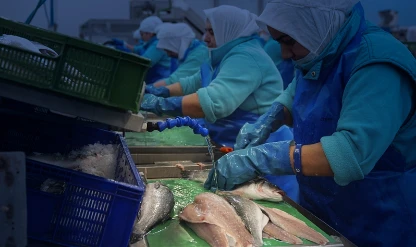 Su ürünlerinde ihracat rekoru: İlk iki ayda 381,9 milyon dolar