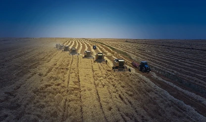 Şubat ayı tarım ÜFE verileri açıklandı: Üç ayın en düşük seviyesinde