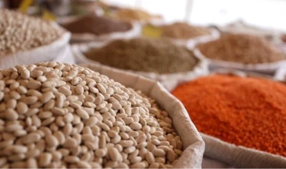 Tarım, gıda ve içecekten 11 ayda 24,79 milyar dolar ihracat