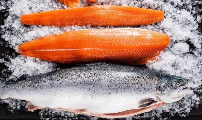 Tek bir ilden 67 ülkeye Türk somonu ihraç edildi!