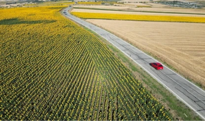 Tekirdağ'da gündöndü tarlaları sürücülerin rotasını renklendirdi