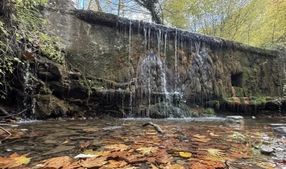 Tekirdağ'da sonbahar renklerine bürünen ormanlar doğa tutkunlarını bekliyor