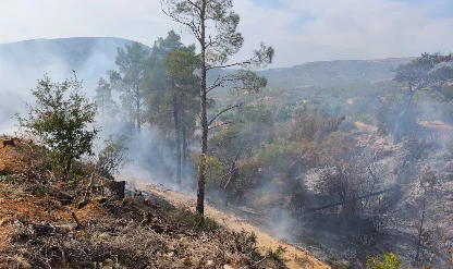 Temizlik için ateş yaktılar! Sonu kötü bitti