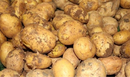 Ticaret Bakanlığı'ndan patates fiyatları için açıklama