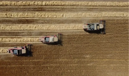 TİGEM 732 ton yem alımı için ihaleye çıkıyor! Tarihi belli oldu