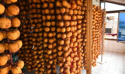 Trabzon hurmasını makineyle kurutarak kazancını ikiye katladı