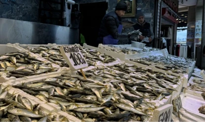 Trabzon’da balık tezgahlarında ilgi istavrite kaydı