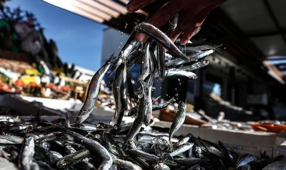 Trabzon’da hamsi kilosu 200 liradan satılıyor