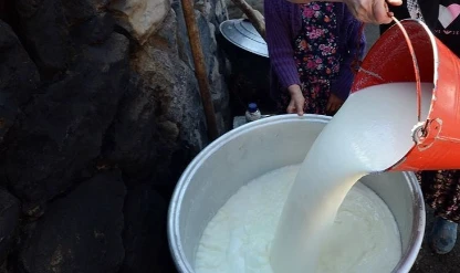 Toplanan inek sütü martta 1 milyon ton olarak gerçekleşti